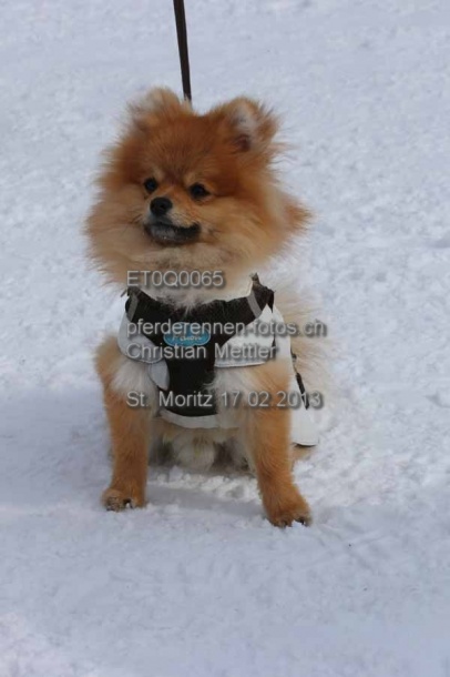 ET0Q0065 prot